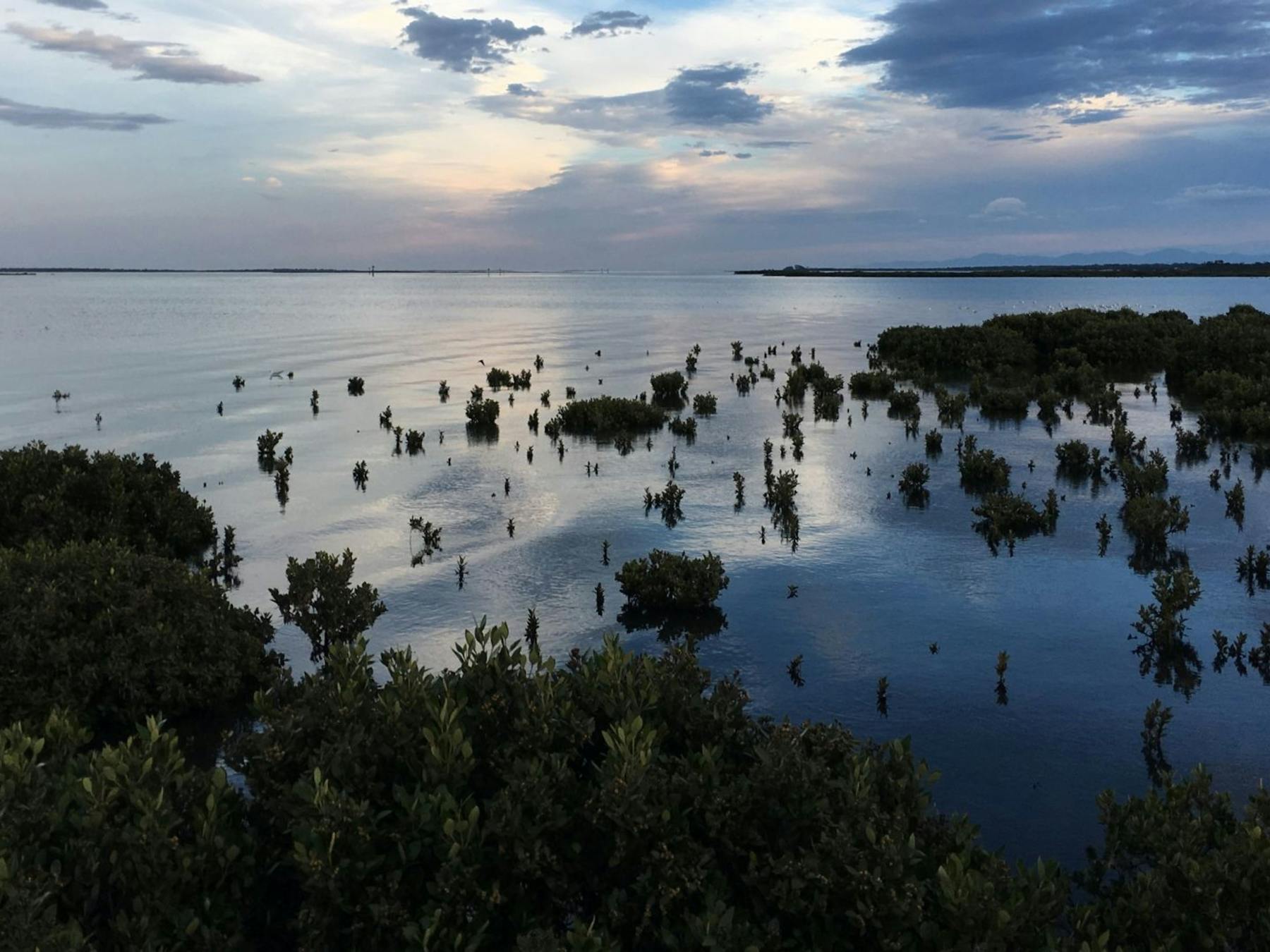 Christopher Robinson Walk