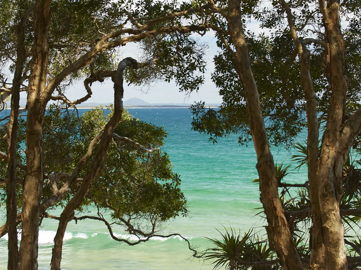 Noosa National Park