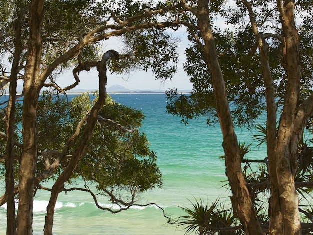 Noosa National Park