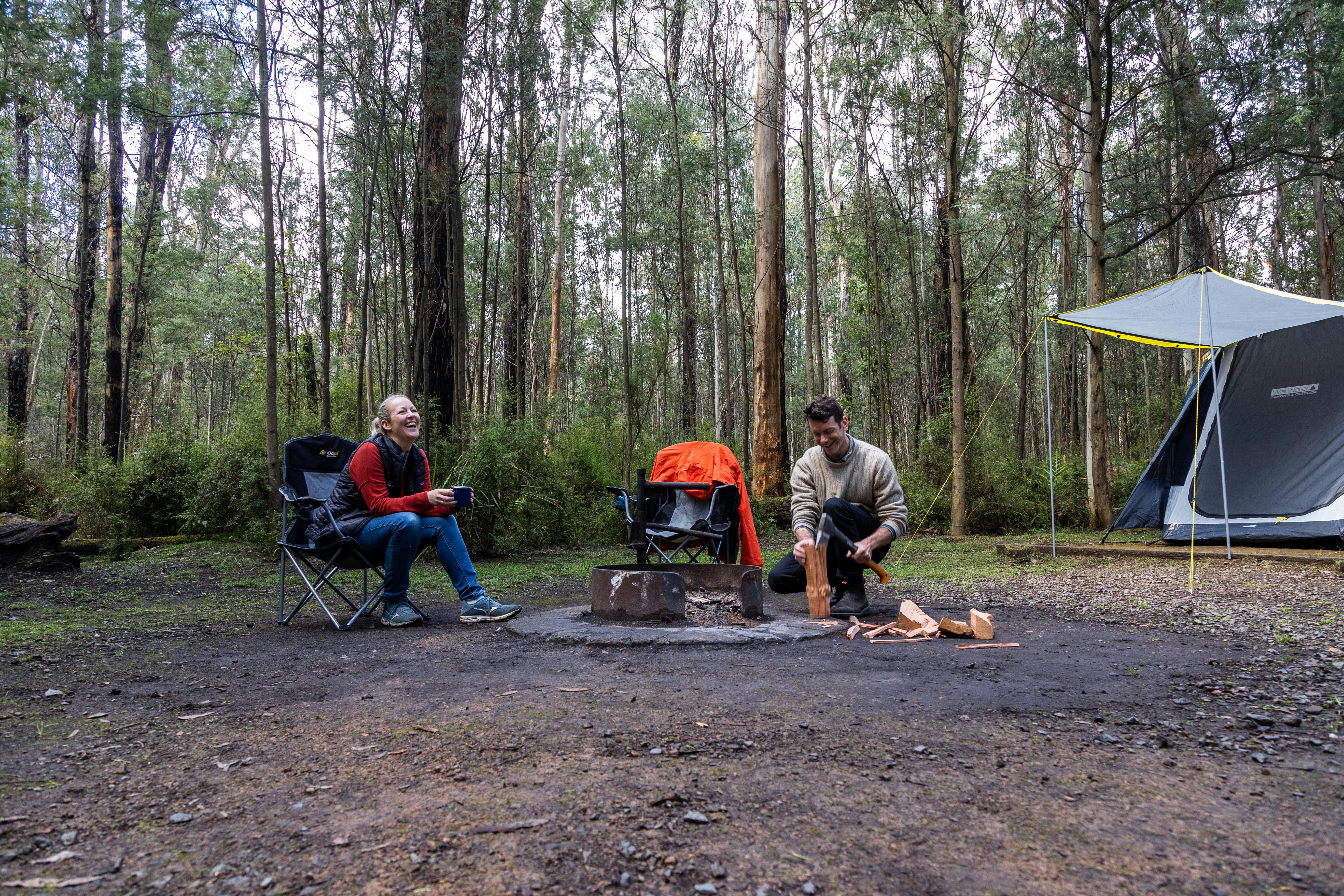Kinglake National Park