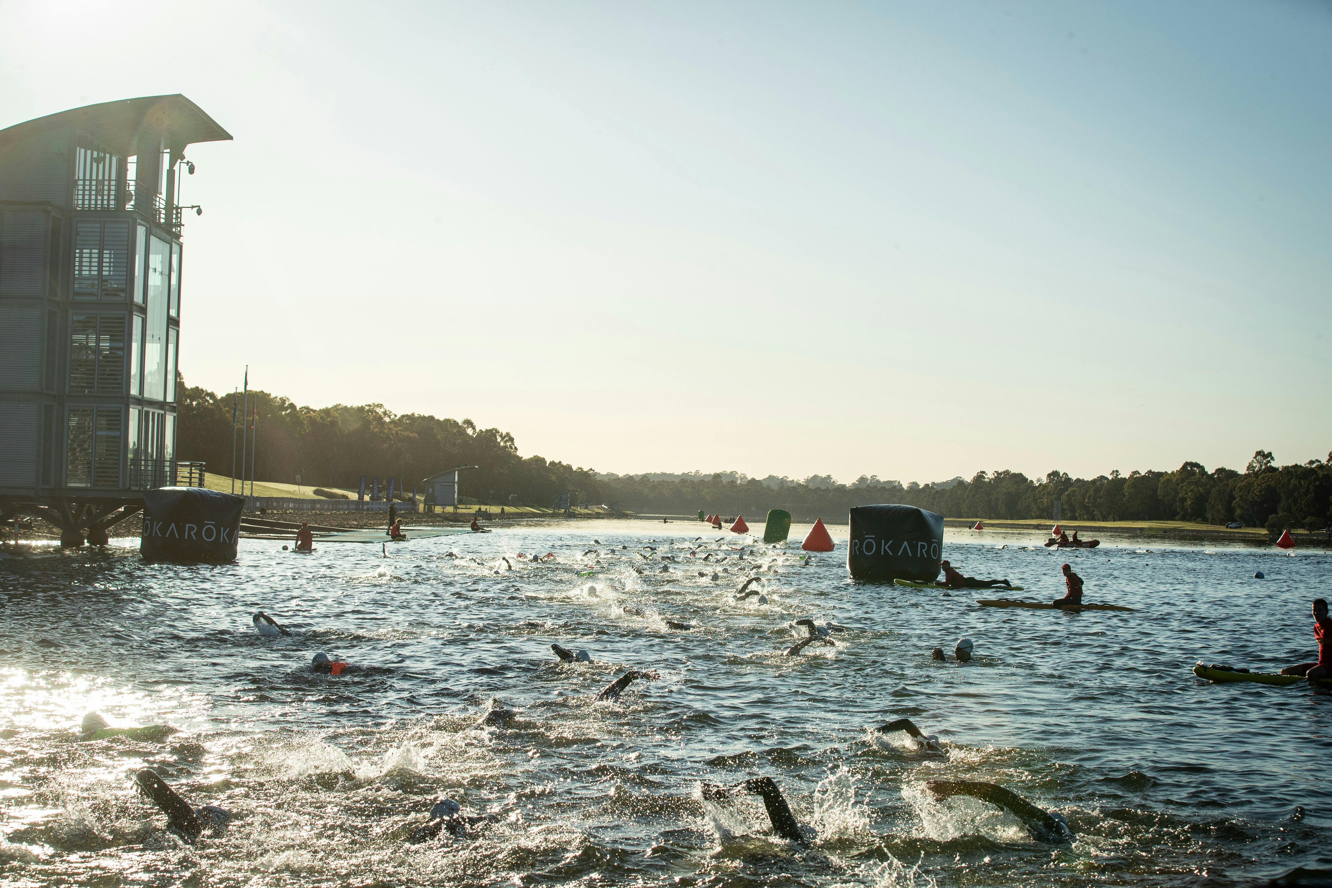 Swimmers