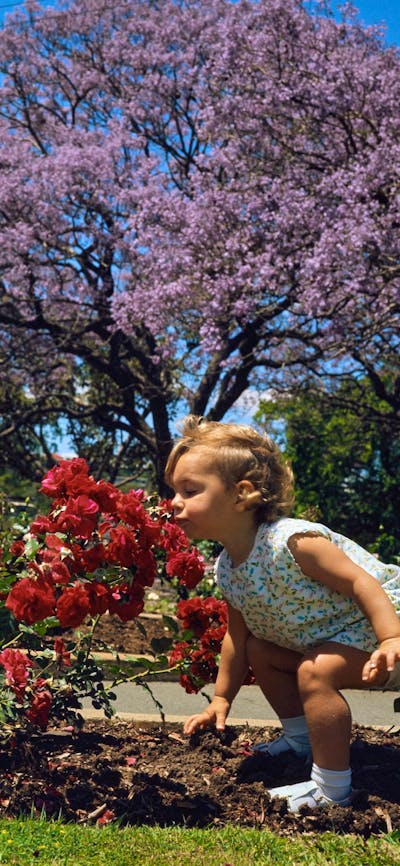 Photograph of a child bending down to smell flowers