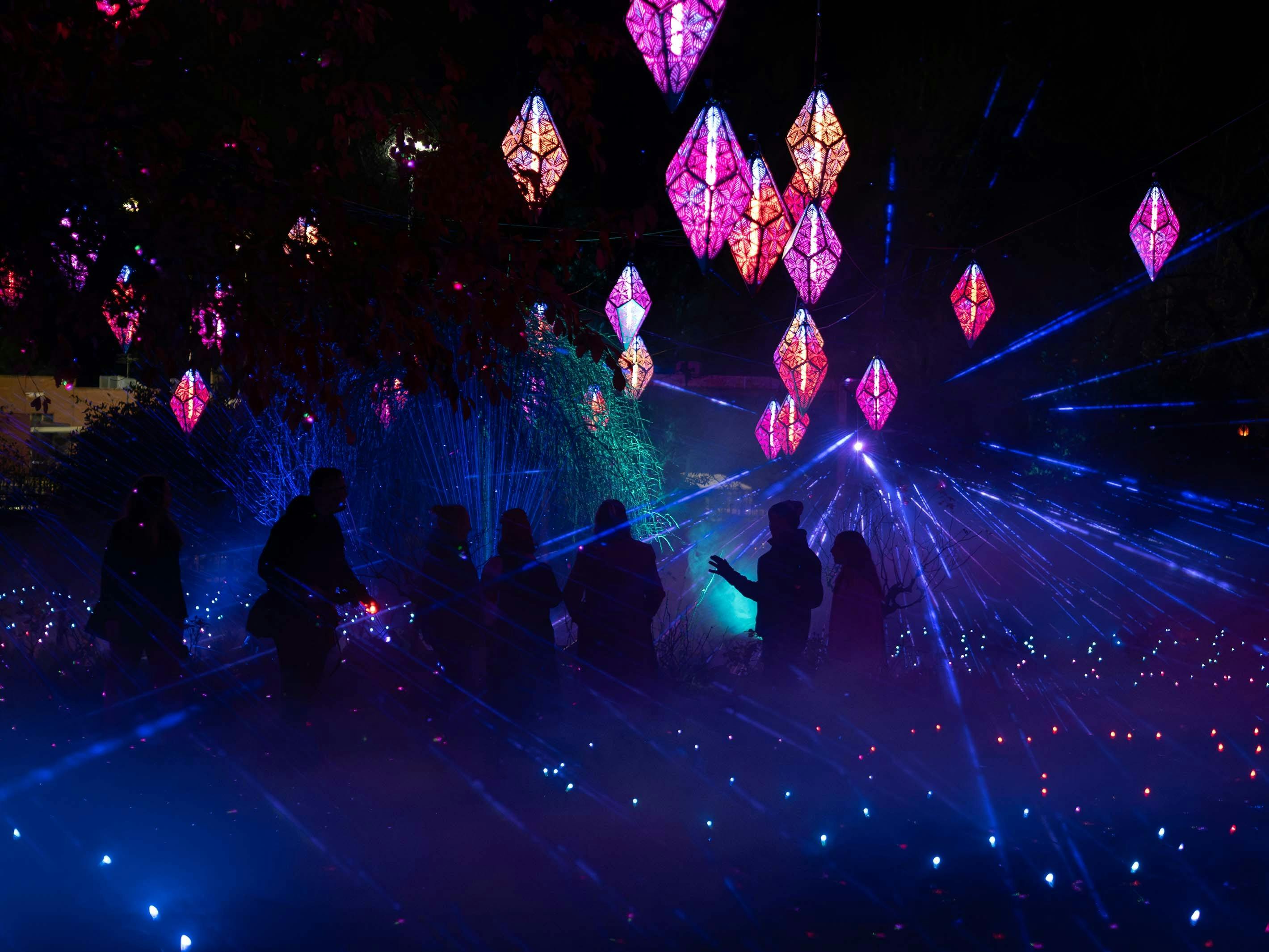 A sea of pink, purple and orange light