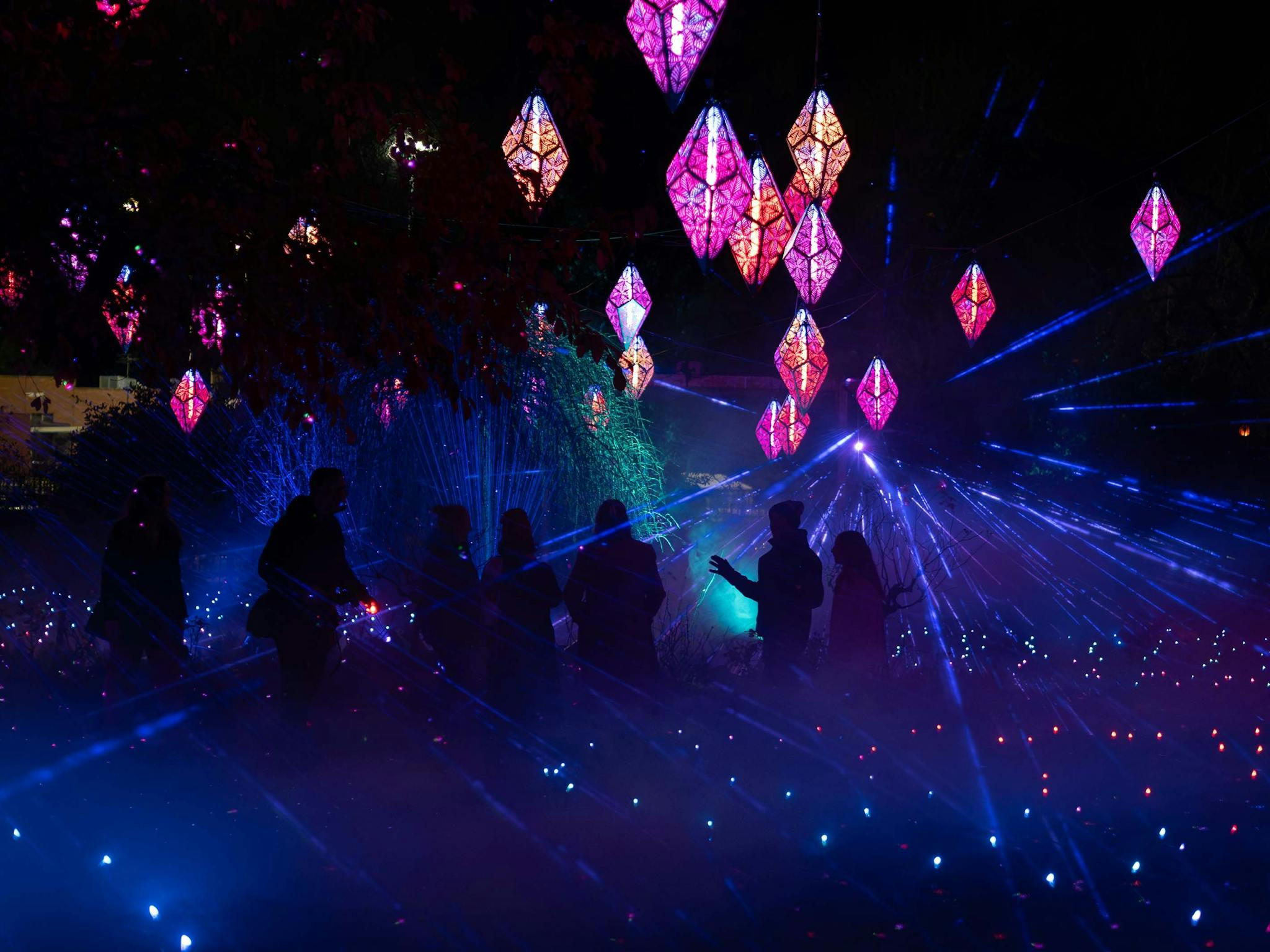 A sea of pink, purple and orange light