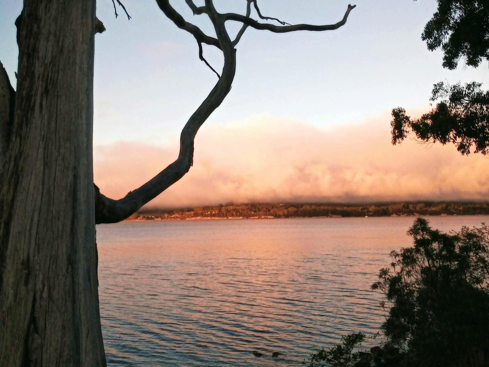 Winter's morning on the river