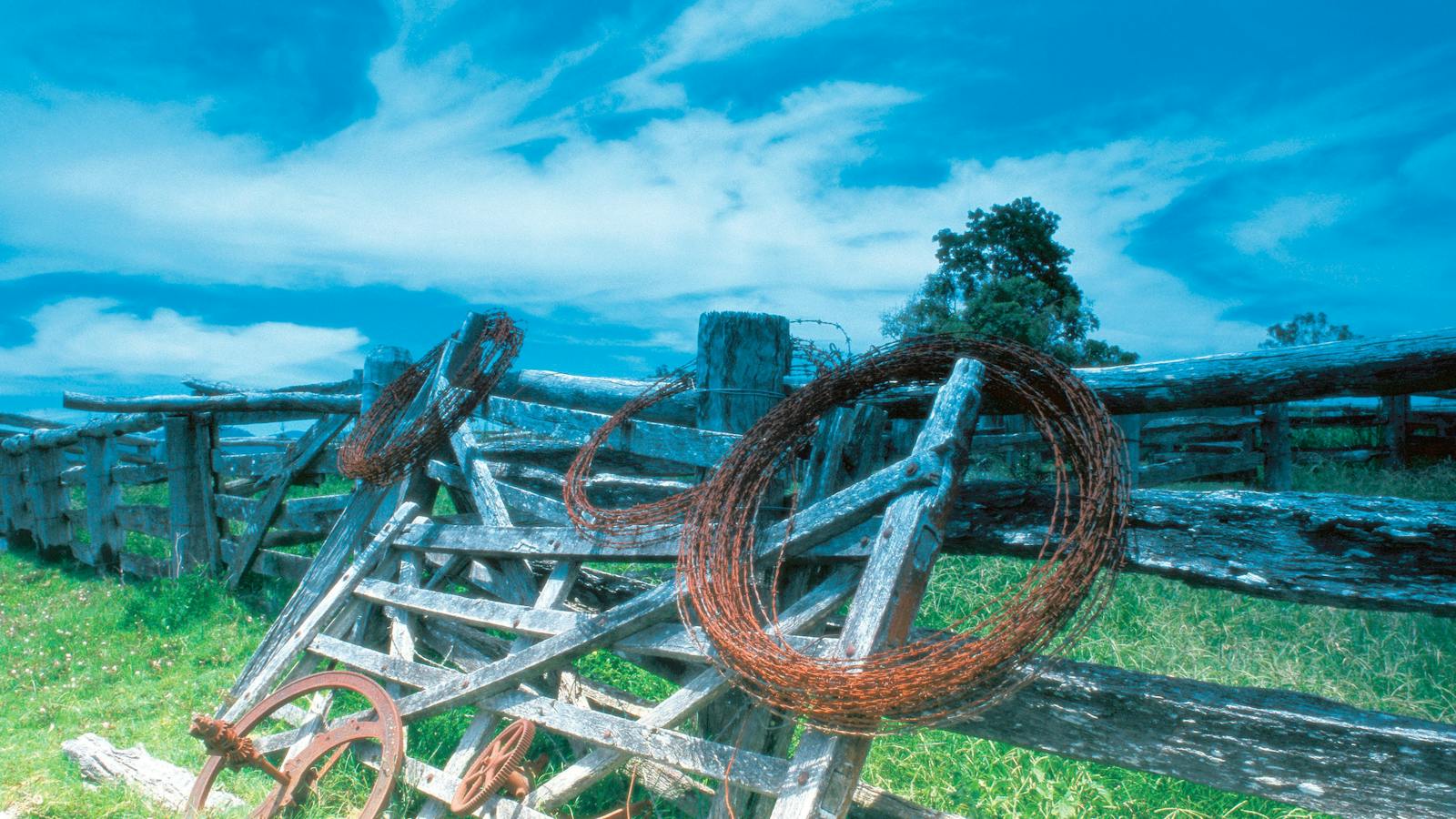 Outback farming