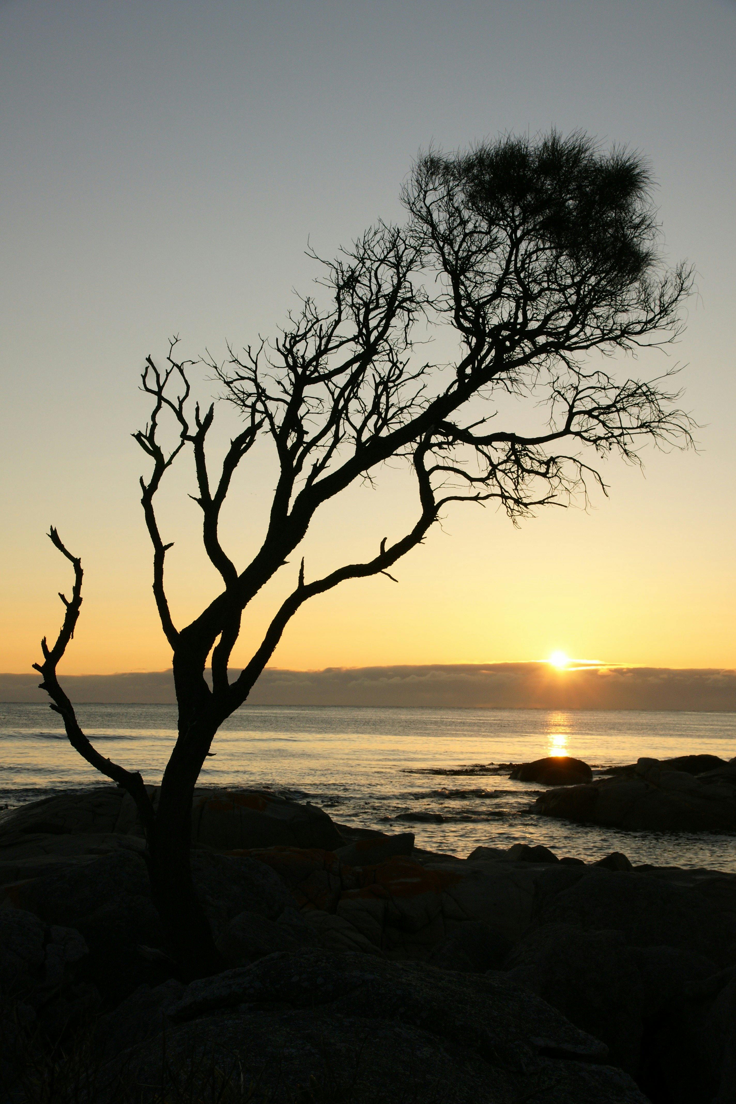 photographers love this spot