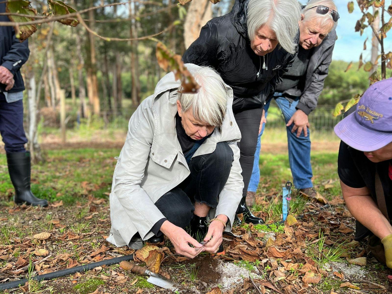 Truffle hunt in the orchard