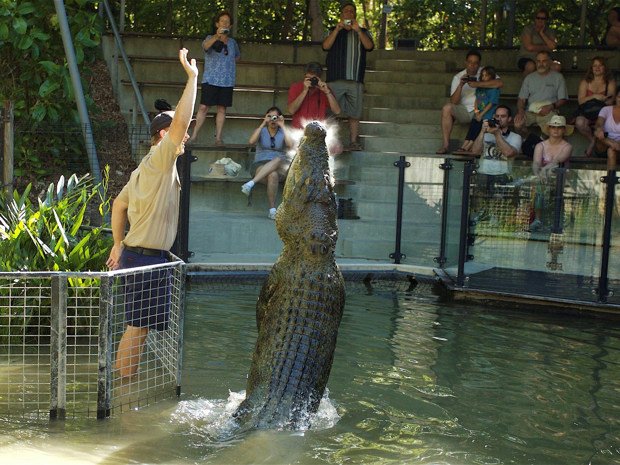 Hartley's Crocodile Adventures Hartley's Crocodile Adventures