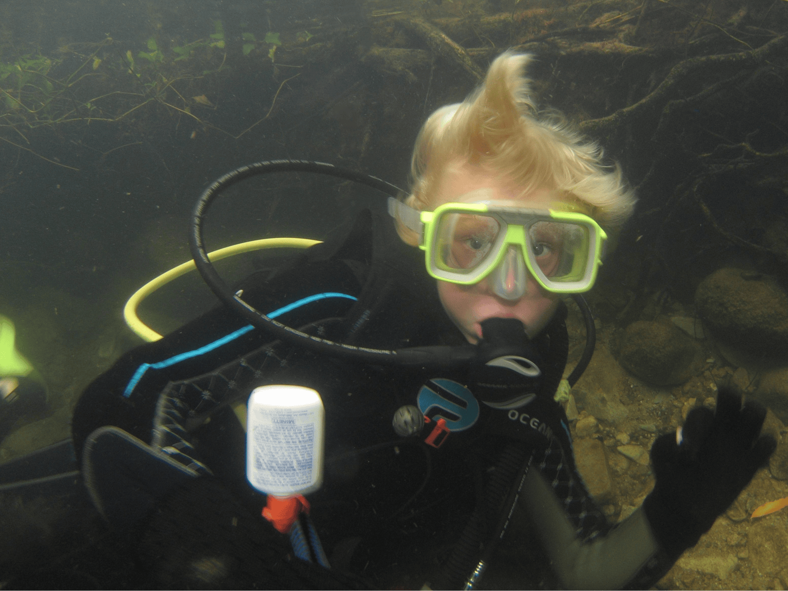 A dive for everyone