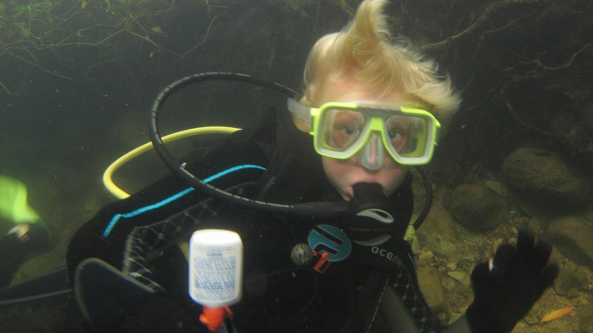 A dive for everyone A dive for everyone