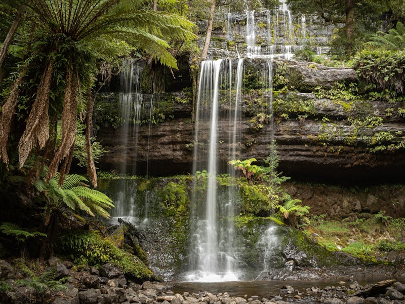 Streams of water rushing over Russell Falls, with ferns growing around