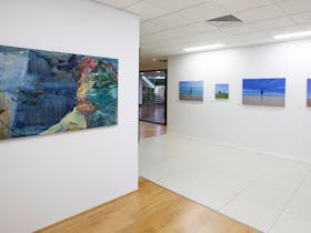 Exhibition view of South Australian artist Andrew Baines