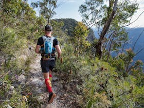 Wild Earth Coastal High 50