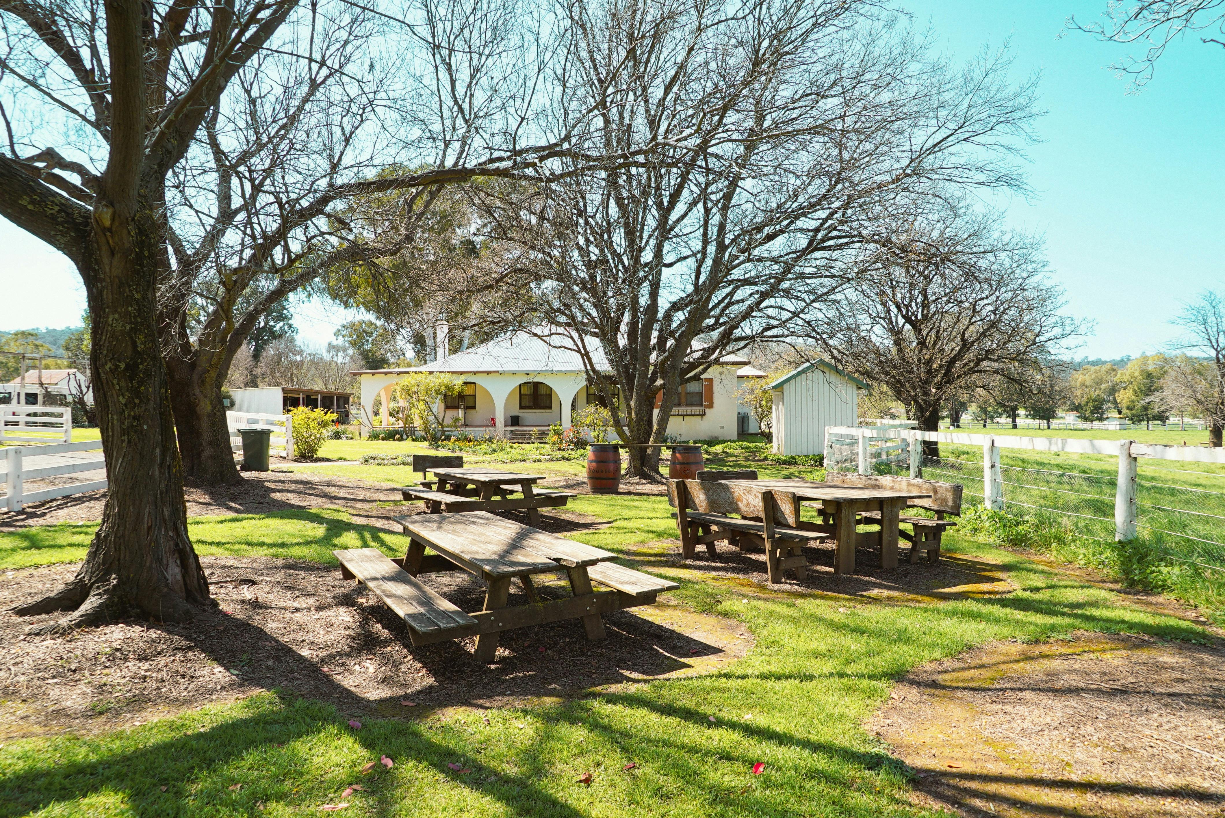 Picnic Area at Gooree Park Main Cellar Door