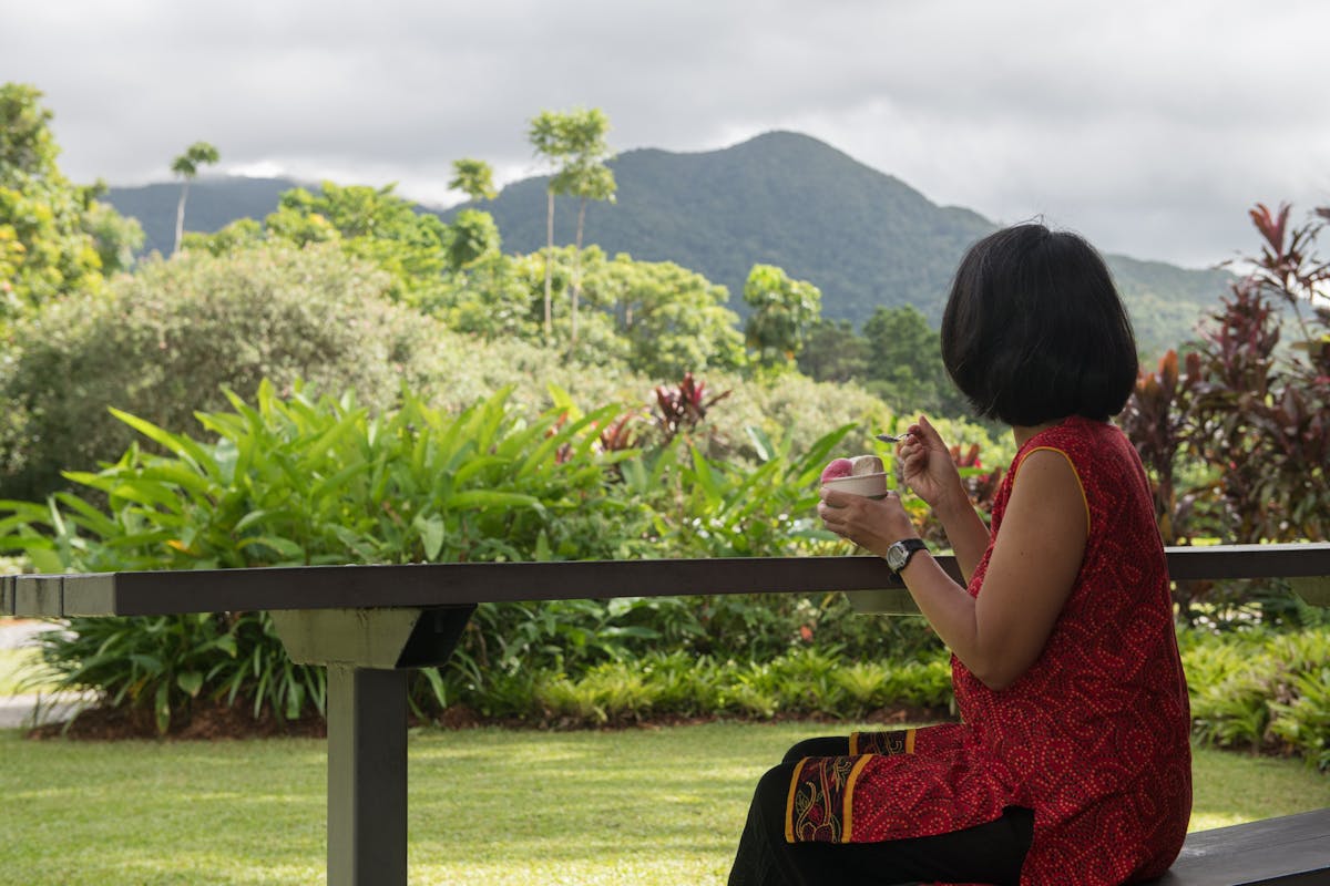 daintree ice cream company