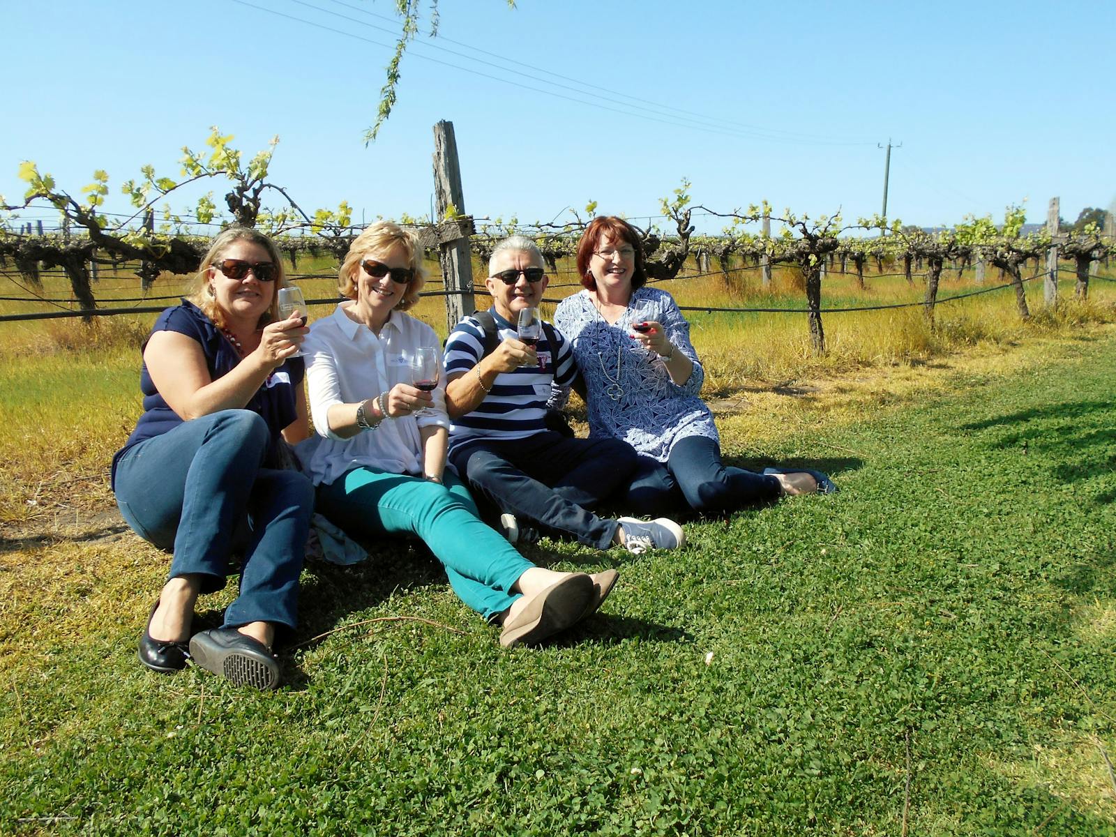 Swan Valley Tours