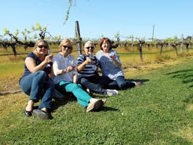 Swan Valley Tours