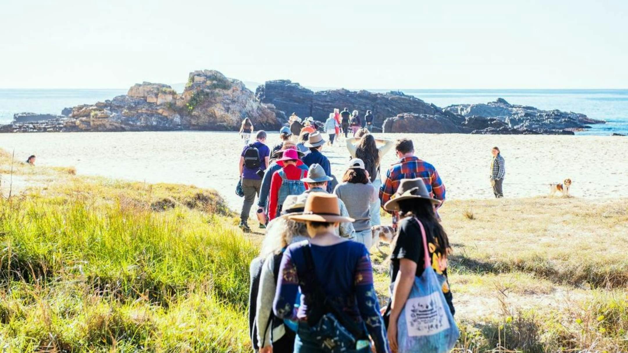 Seaweed Foraging Tour - Wimbie Beach