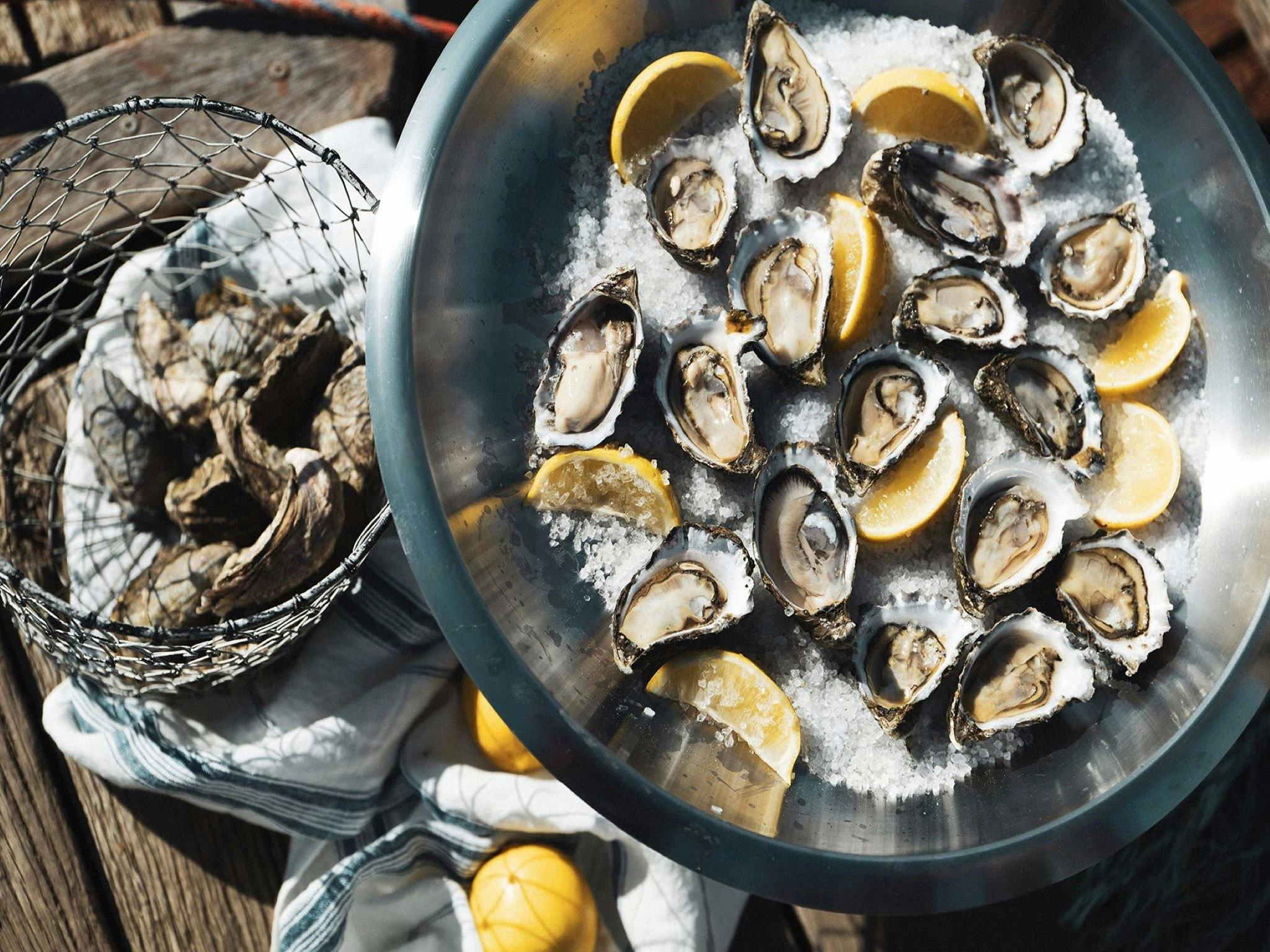 Sydney Oyster Farm Tours