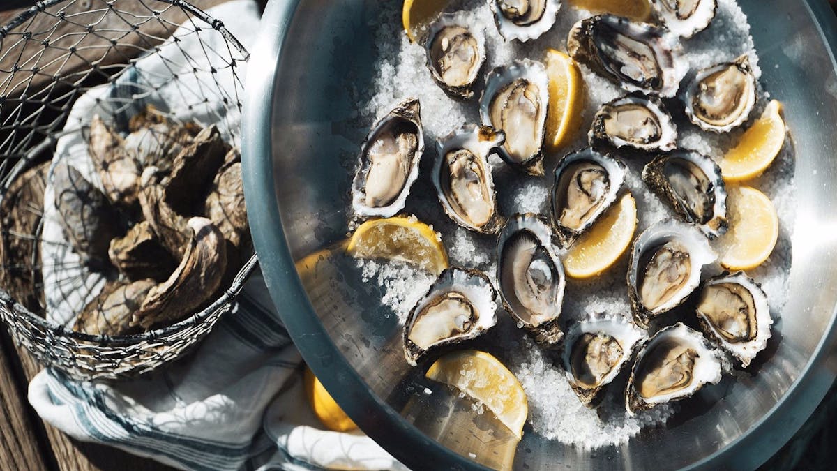 Sydney Oyster Farm Tours