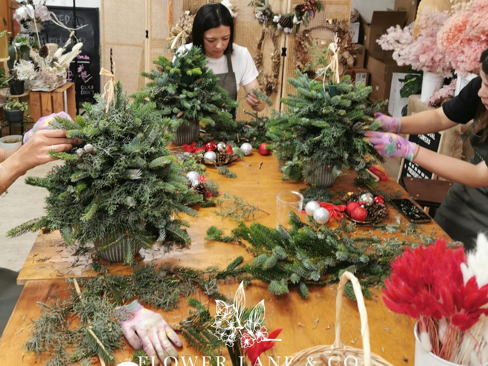 雪梨亞歷山大聖誕樹製作工作坊