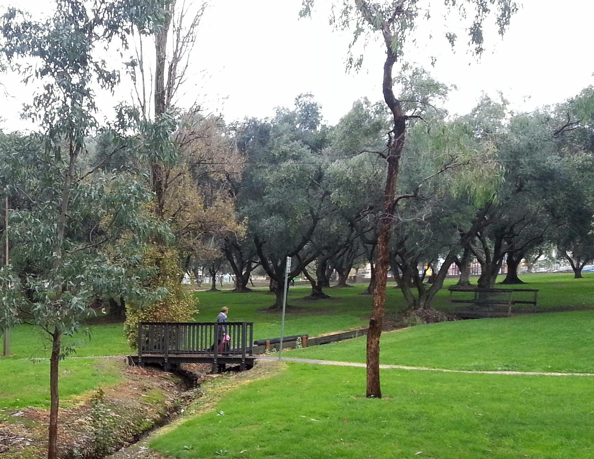 King Rodney Park / Ityamai-itpina (Park 15)