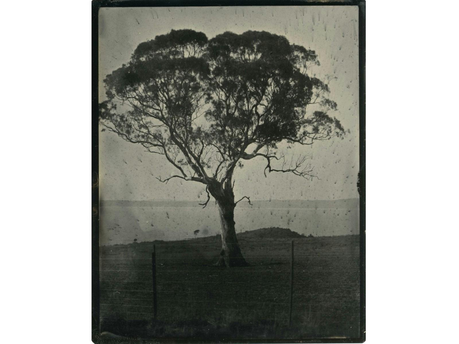 Brenda L Croft  ‘after/image’