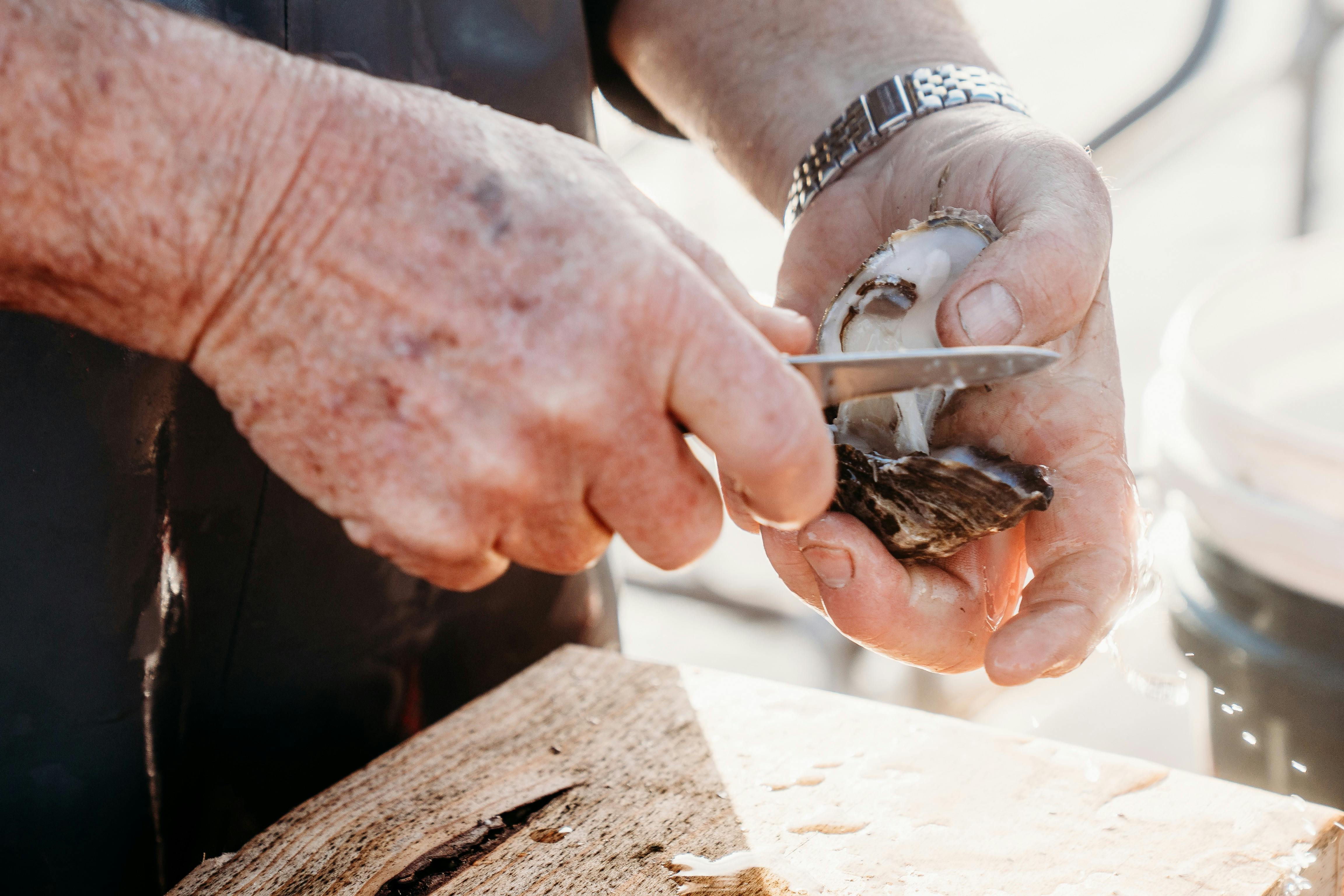 Shucking Oyster