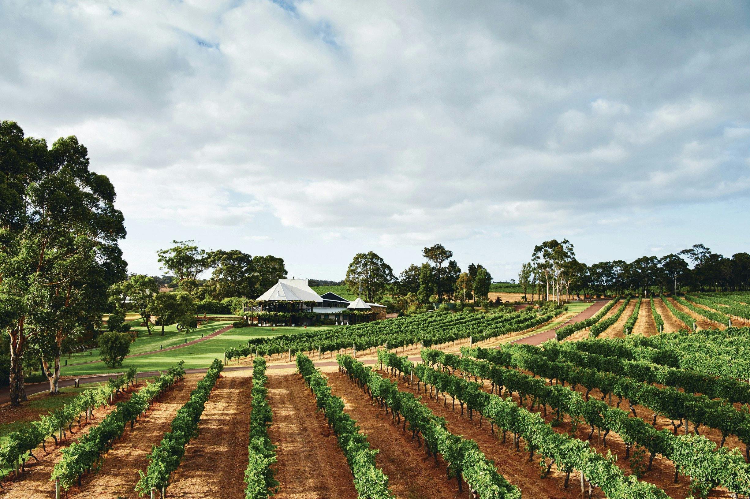 The Wine Adventurer, Western Australia
