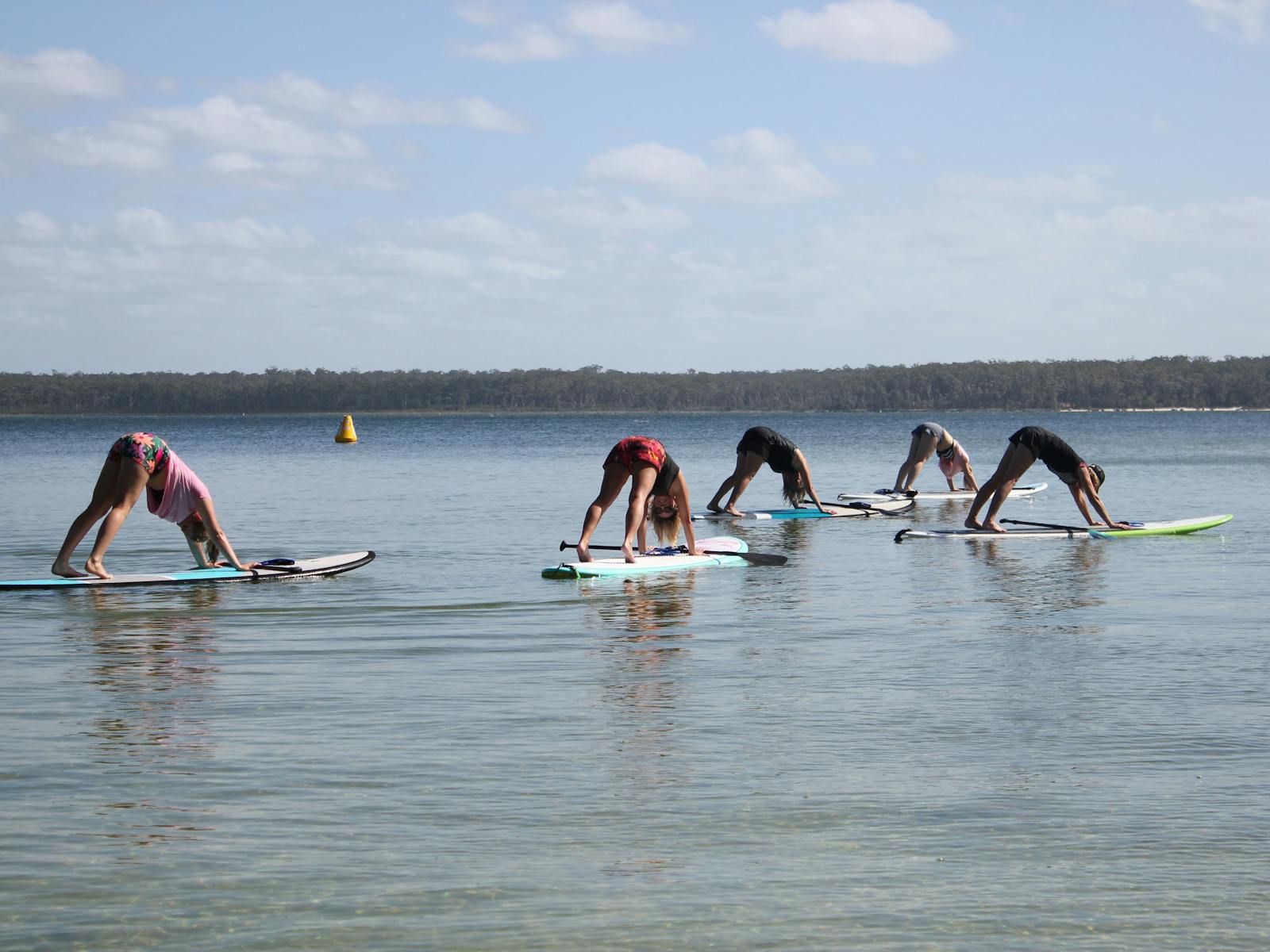 supfit swan lake