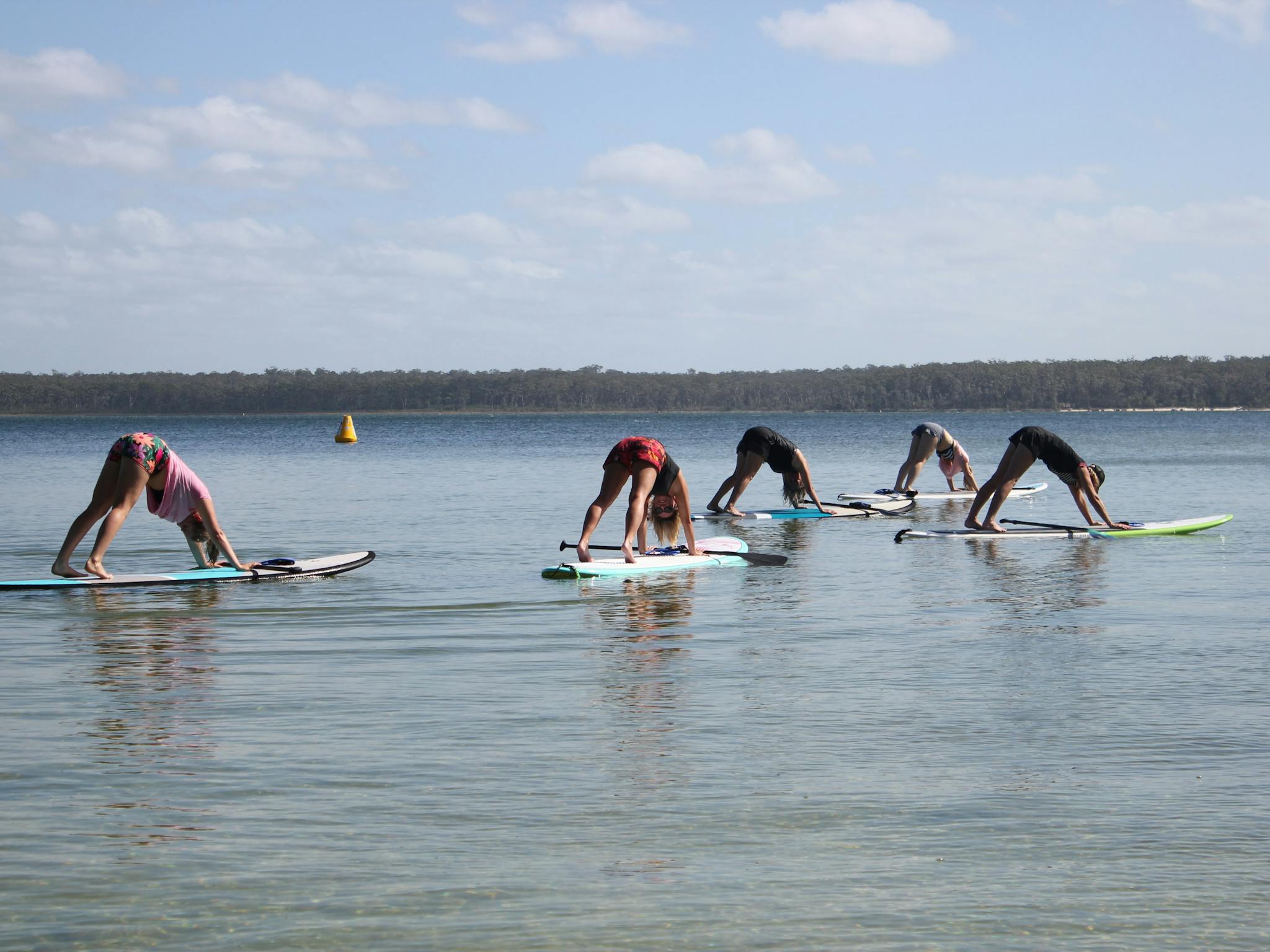 Stand up paddle