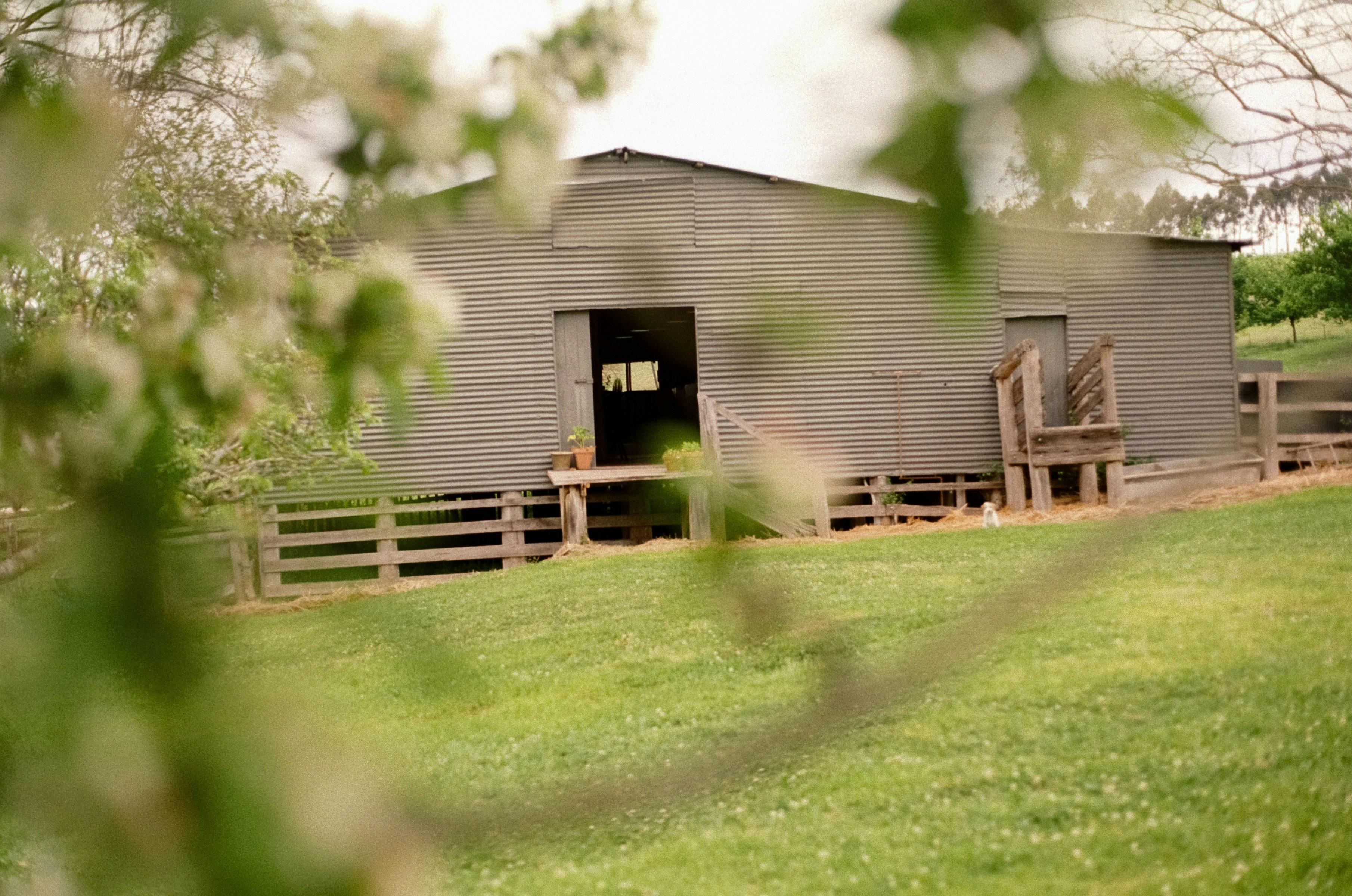 The Wool Shed