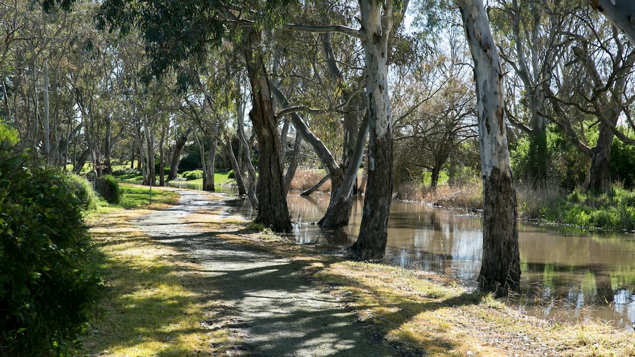 Naracoorte Creek Walk