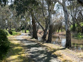 Naracoorte Creek Walk