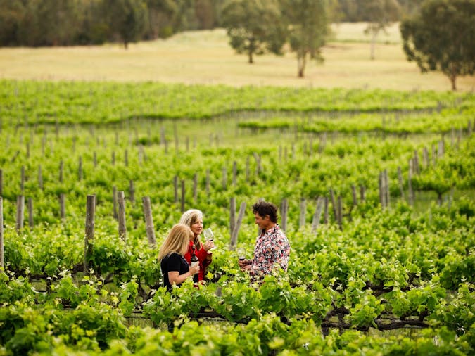 Flavours of South Australia 5 Day Inspiring Journey