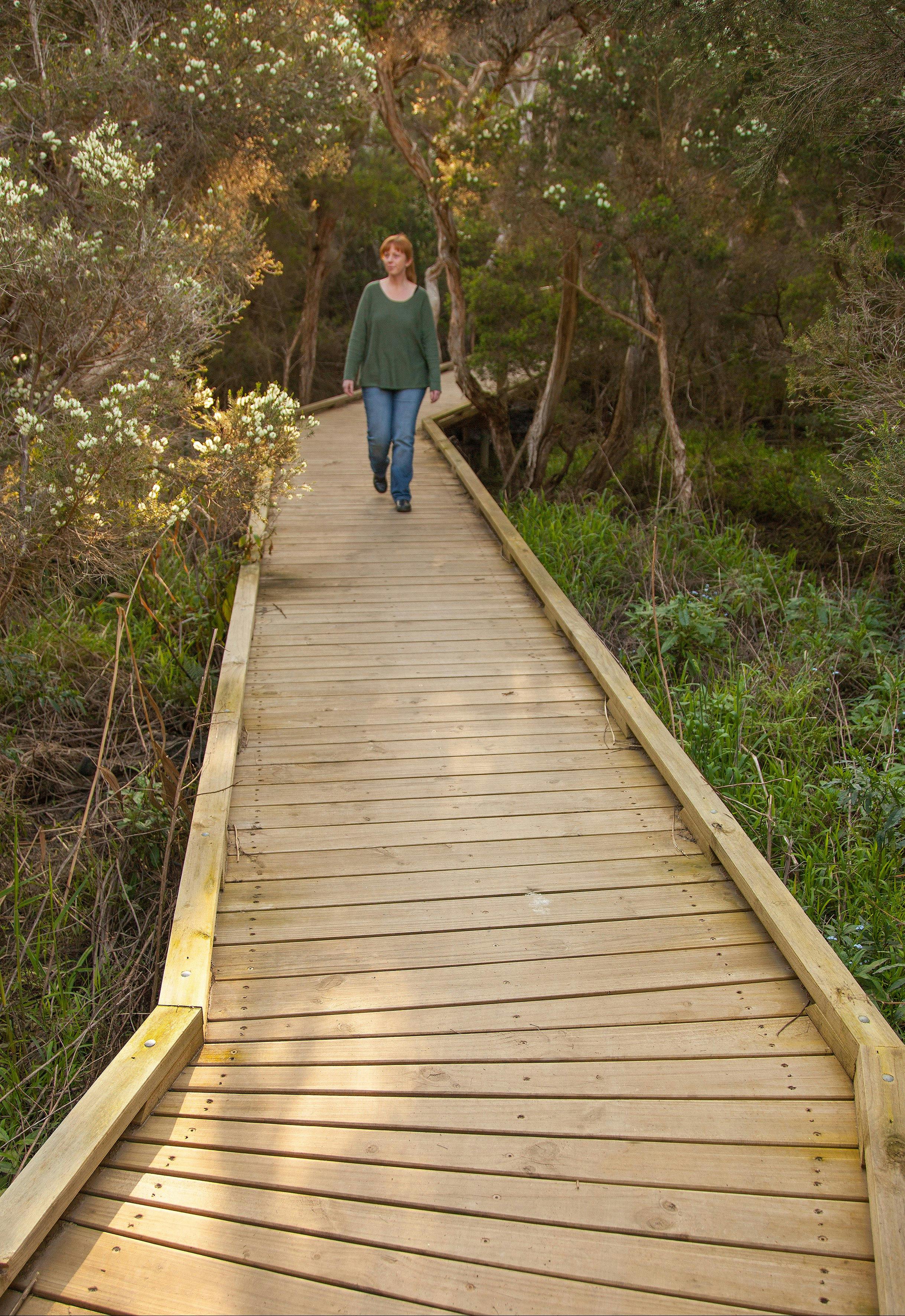 Boardwalk at Balcombe Creek Estuary