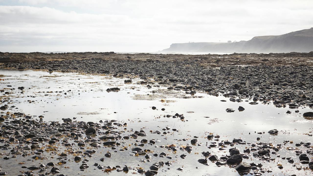 Mushrooom Reef