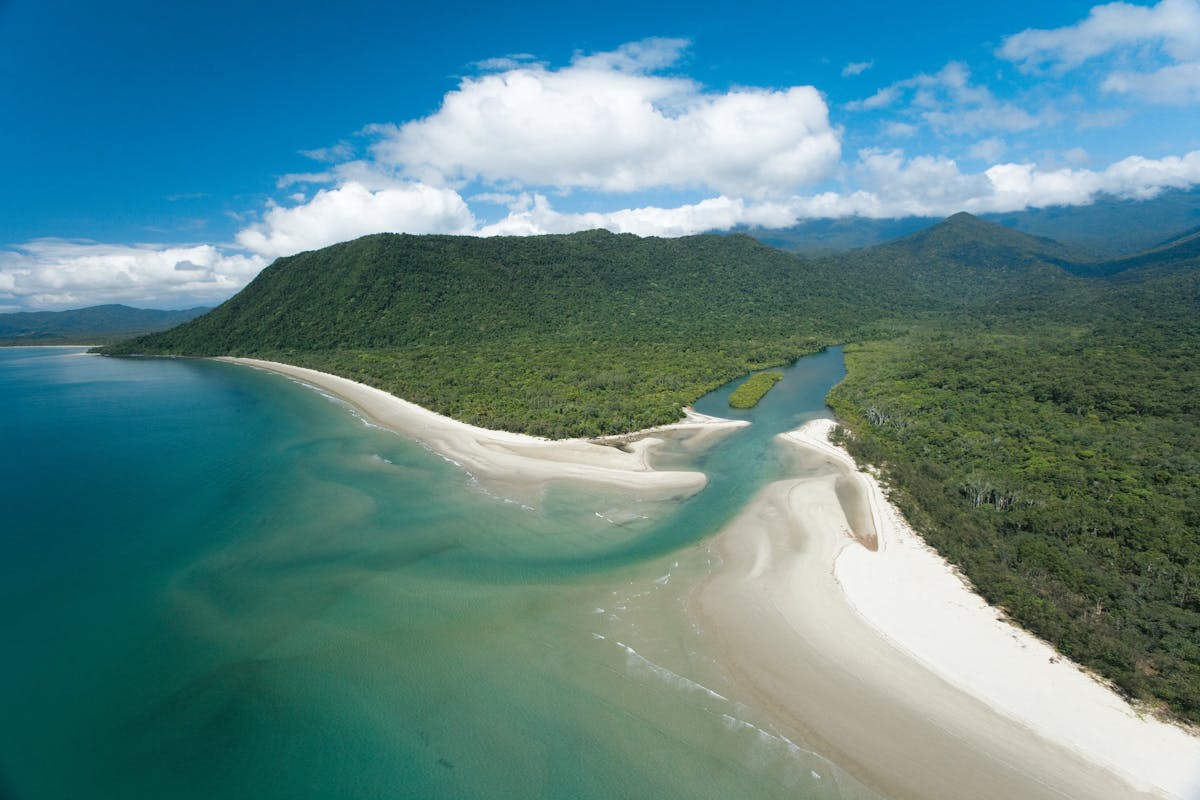 Daintree River mets the sea, Cape Tribulation section.