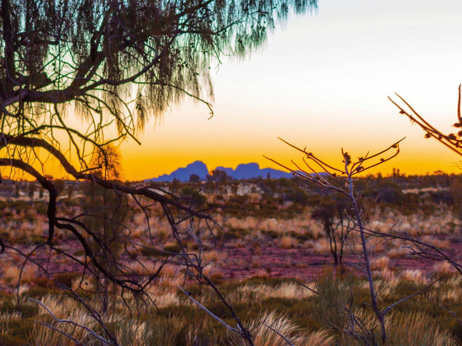 Kata Tjuta in the distance
