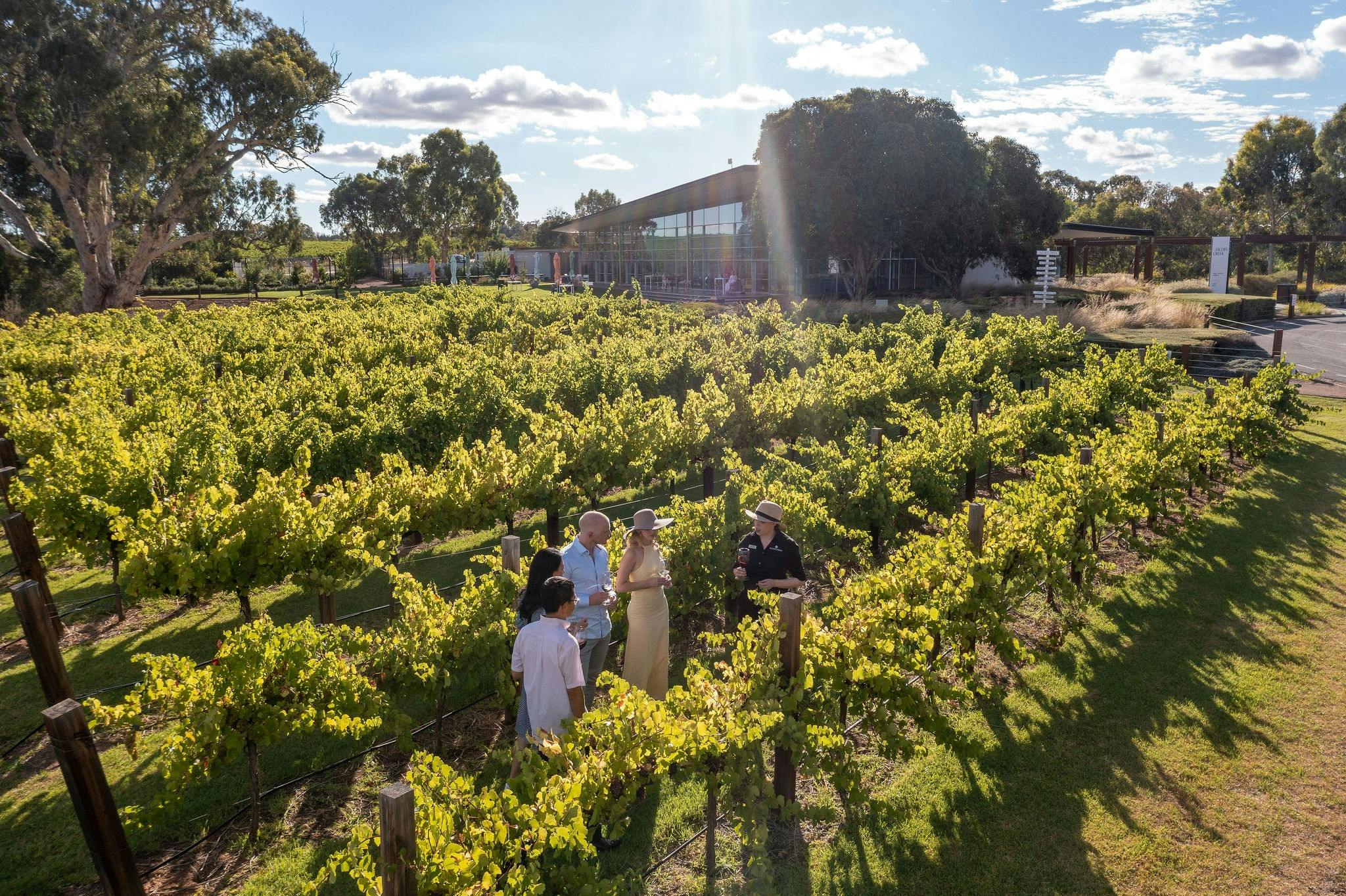 Jacobs creek clearance winery