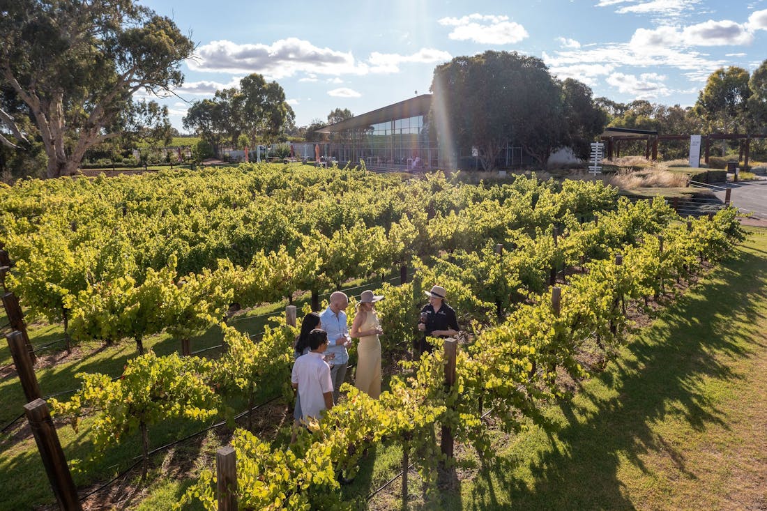 Jacob s Creek Rowland Flat Food and Drink South Australia