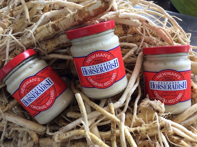 Newmans Horseradish Farm and Rusticana Wines