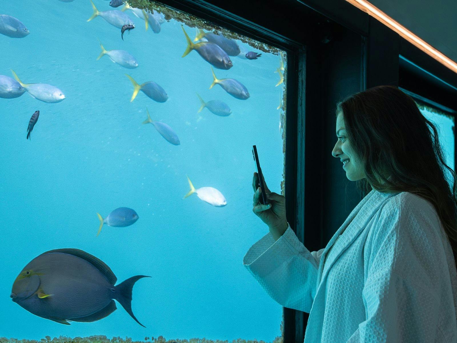 A guest taking a photo of the fish from the underwater rooms
