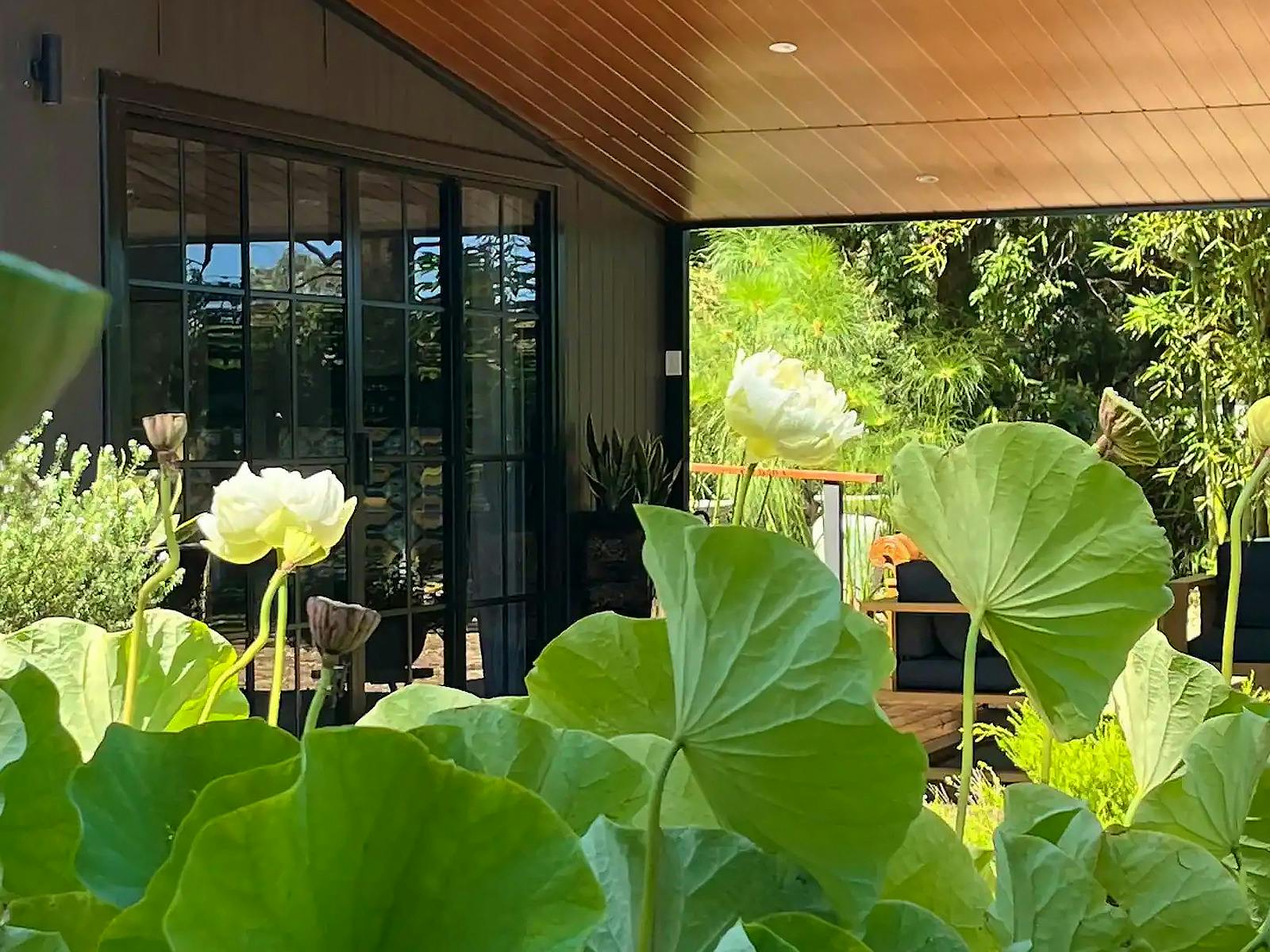 수련 사이의 롯지