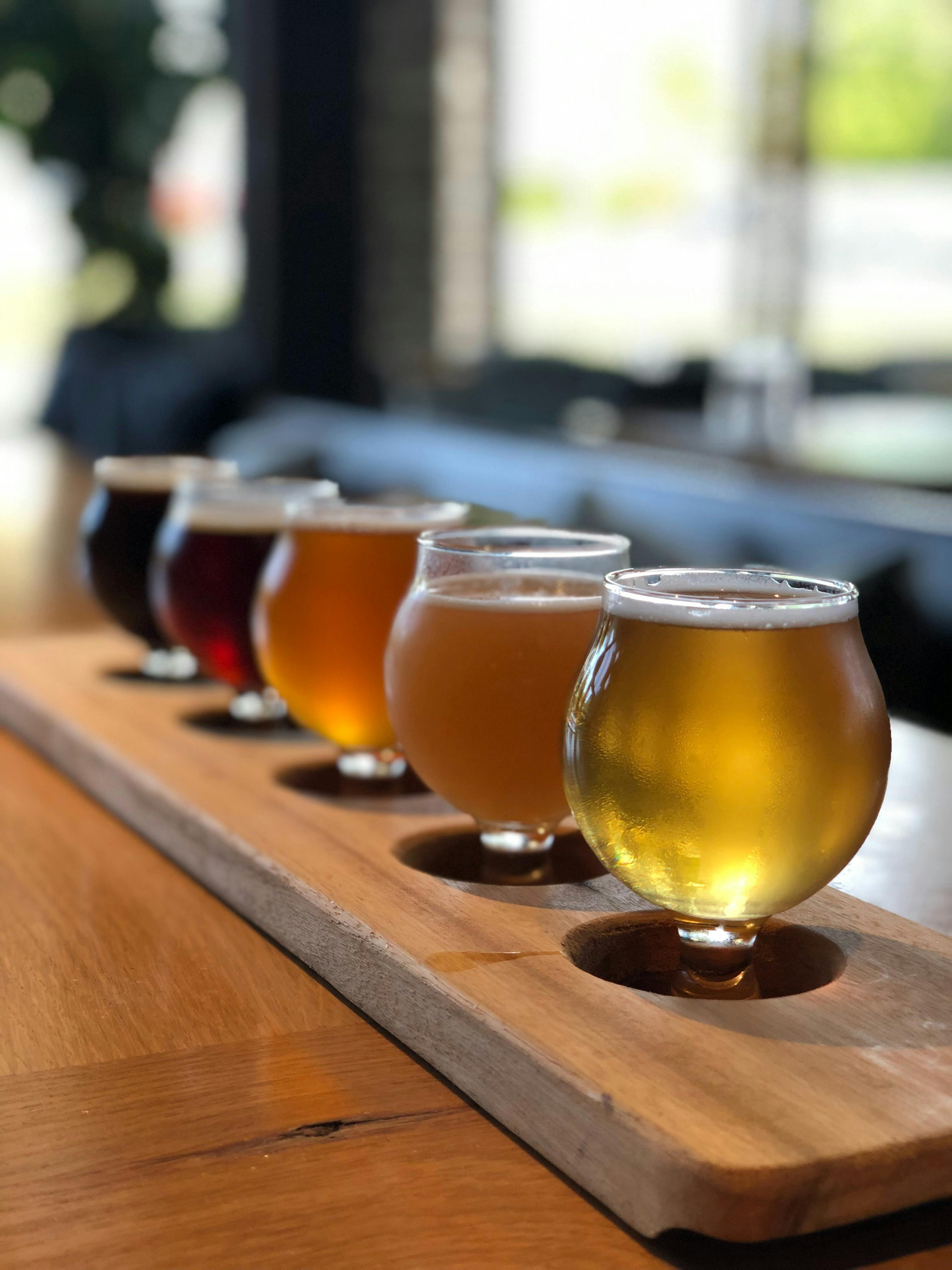 Noosa Brewery paddle