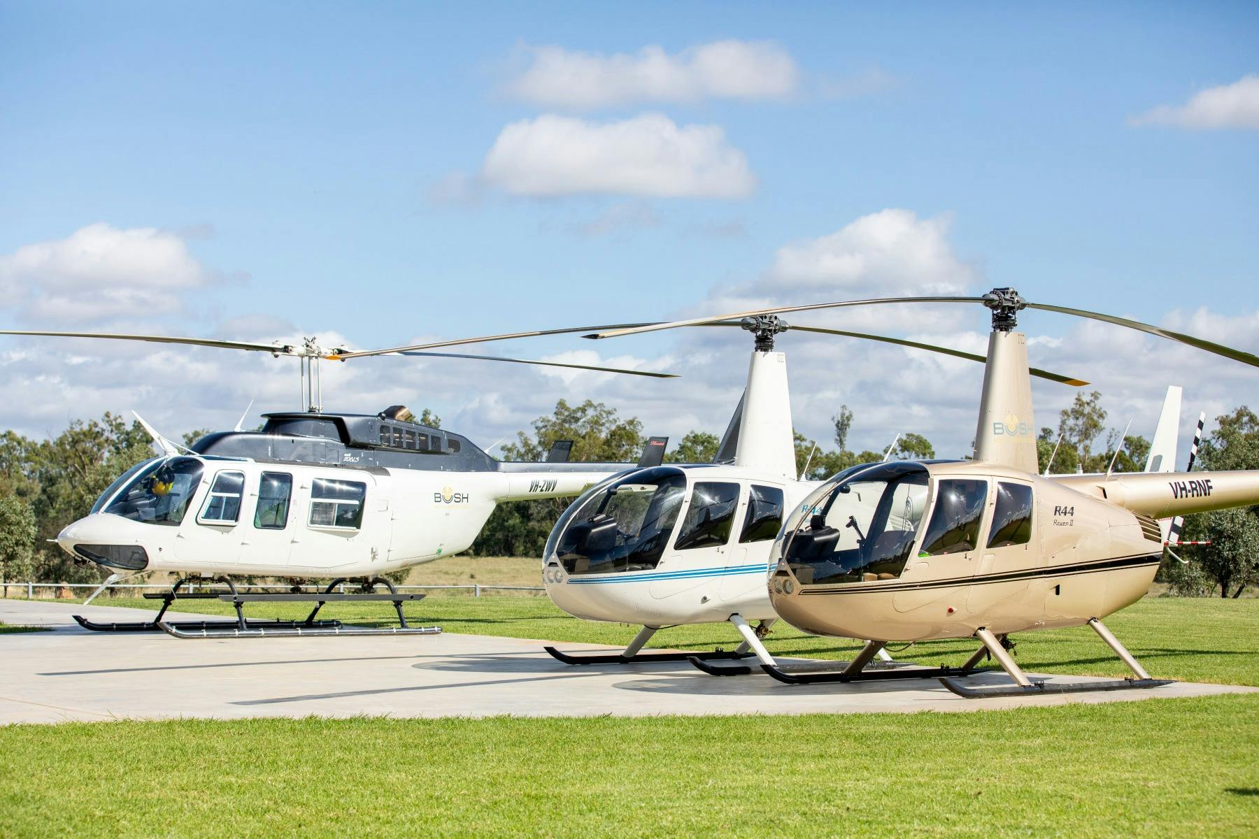Robinson R44 & Bell206