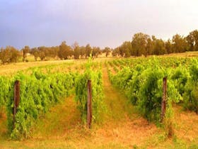 Bell River Estate Winery Wellington