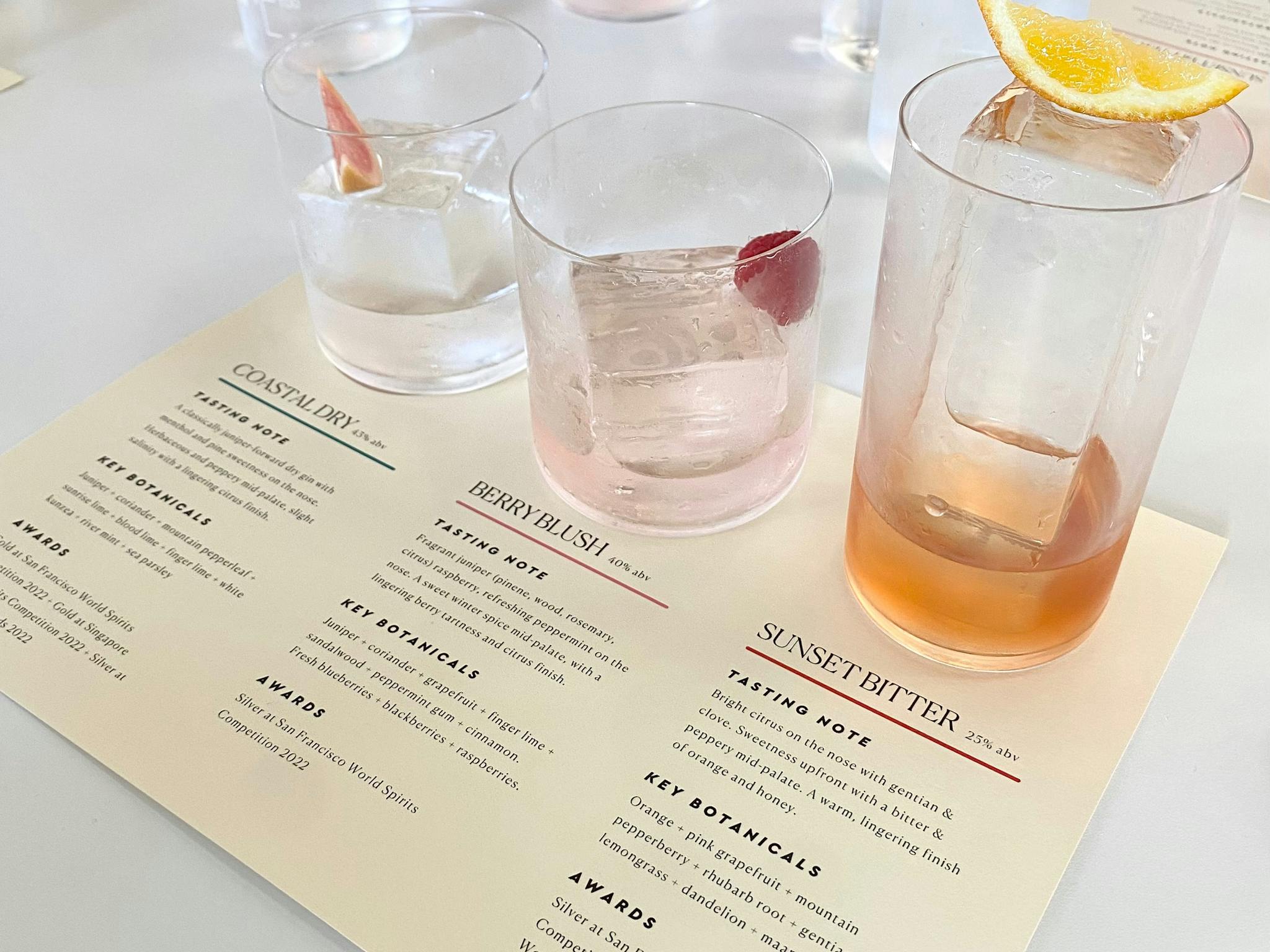 3 signature gins presented beautifully for tasting at Seabourne Distillery