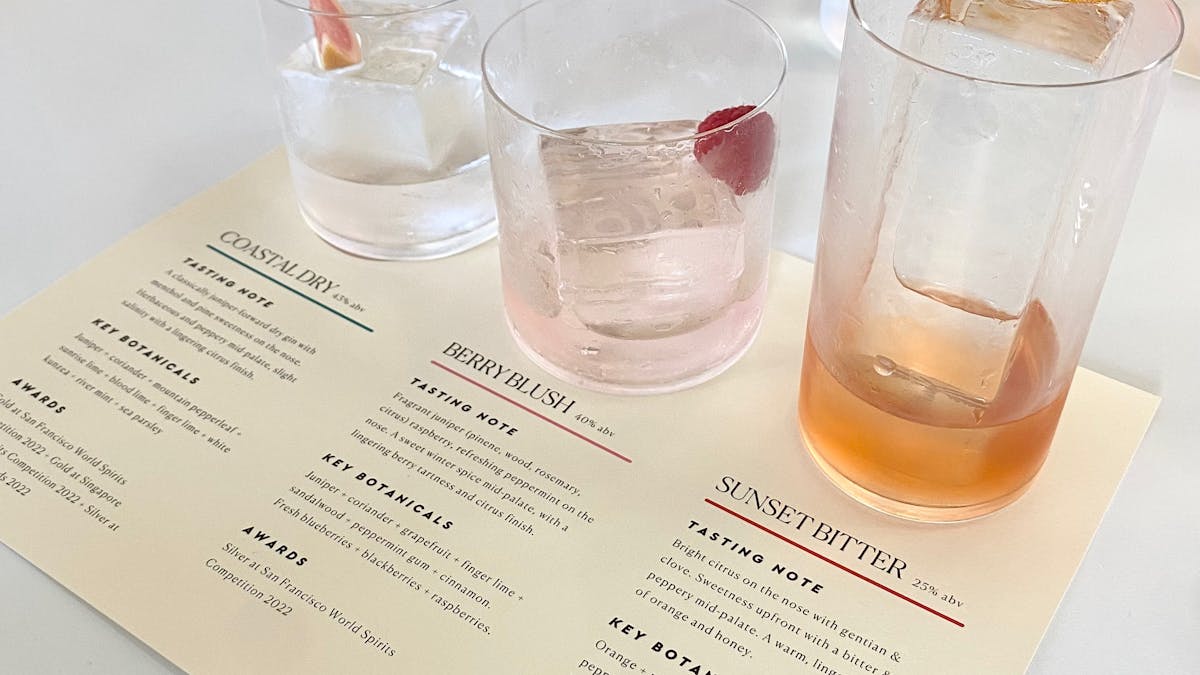 3 signature gins presented beautifully for tasting at Seabourne Distillery